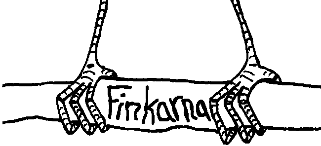 Finkarna